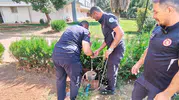 Kuyudan gelen çaresiz miyavlamalar site sakinlerini harekete geçirdi