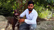 Adana'da komşu dehşeti: İnşaatta uyuyan köpeğe sopalı saldırı