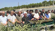 Düğün davetiyeleri elinde kaldı: Mutluluk hayali kurarken yolların kurbanı oldu