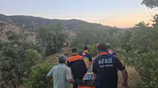 Palamut toplamak için girdiği ormanda izini kaybettirdi: Arama ekipleri seferber oldu