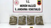 Toroslar'da zehir tacirine jandarma tokadı: Operasyonun detayları belli oldu