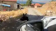 Elazığ'da vicdanları sızlatan görüntü: Eşi tarafından ağaca zincirlendi