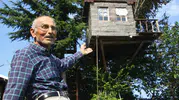 Torununun hayali için 90 yıllık meşe ağacını mesken tuttu: Yerden 6 metre yüksekte huzur buluyor