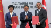 Türkiye'nin yeşil altını Çin yolcusu: 60 milyon dolarlık dev anlaşma imzalandı