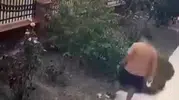 İzmir'de vicdansız saldırı: Yavrularını korumak için köpeğe kafa tuttu