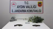 Söke'de jandarmanın baskınında yaşlı şüphelinin evinden uyuşturucu çıktı