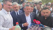 Prens Charles incir yemeyecek mi? Özgür Özel'den üreticiyi ayağa kaldıracak kooperatif çağrısı