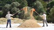 Modern Tarıma İnat Yüzyıllık Miras: Bitlis'in Çamurlu Tarlalarında İmece Ruhu