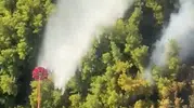 Manavgat alevlere teslim: Ekipler zamanla yarışıyor