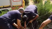 Sondaj kuyusundan gelen çaresiz miyavlamalar ekipleri harekete geçirdi