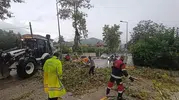 Yayladağı'nda park halindeki otomobil fırtınanın kurbanı oldu