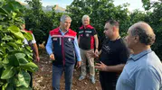 Adana'da dolu felaketi: Çiftçinin emeği bir anda yok oldu