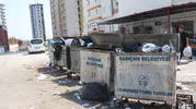 Adana'da isyan ettiren görüntü: Çöp dağlarına karşı süpürgeleri ellerine aldılar