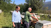 Düzce'de arıcılık haritası çıkarılıyor: Kovanlar tek tek kayıt altına alınıyor
