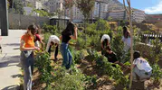 Kitapların gölgesinde organik tarım: Sason'da kütüphane bahçesi bereketi