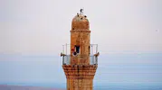 Mardin'in kadim ezgileri bu kez sessizliğin diliyle yankılandı