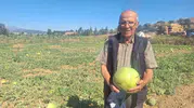 Toprağın kadim mirasını koruyor: Bir çiftçinin karpuzla olan sadakat sınavı