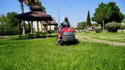 Kepez'de yeşil seferberlik: Estetik doku titizlikle korunuyor