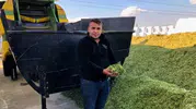 Besicilerin yeni kurtarıcısı: Artan maliyetler üreticiyi tarlaya yöneltti