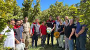 Erzincan'ın yüksek rakımlı topraklarında şaşırtan hasat: Fındık yetişti