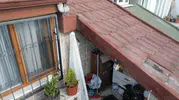 Sultangazi'de kabus dolu günler: Çatı katını mesken tutan arılar aileyi evinden etti