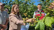 Vali Arslan'ın fındık mesaisi: Kokarca böcekleriyle zorlu mücadele ve rekolte sevinci
