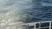 Marmara'nın ortasında korku dolu anlar: Sürüklenen teknedeki 3 kişi için seferberlik