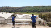 Seydikemer'deki yangın felaketinin ardından belediyeden üreticiye rekor hızda destek