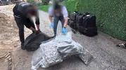Beykoz'da narkotik baskın: Tonlarca uyuşturucu sevkiyatına büyük darbe