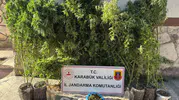 Karabük'te jandarmadan eş zamanlı darbe: Kaçakçılık şebekesine geçit yok