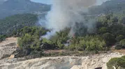 Milas alevlere teslim: Ekipler seferber oldu