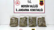 Toroslar'da zehir tacirlerine jandarma darbesi: İki kişi kıskıvrak yakalandı