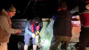 Beyler Barajı'nda kaçak avcılık operasyonu: 225 balık ölümden döndü