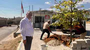 Sultanhisar'da Geleceğe Nefes Olacak Hamle: Fidanlar Toprakla Buluşuyor