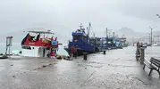 Amasra'da doğa öfkesini kustu: Dev dalgalar limanı dövdü, deniz çamura bulandı