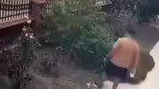 İzmir'de vicdansız saldırı: Yavrularını korumaya çalışan anne kediye tekme attı