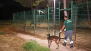 Alevlerin ortasında kalan sessiz çığlık: 105 can dostu için zamana karşı yarış