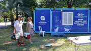 Antalya'da sokak kedileri için mobil çözüm: Kısırlaştırma hizmeti parklara taşındı