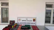 Şırnak'ta dev kaçakçılık bilançosu: 196 şüpheli kıskıvrak yakalandı