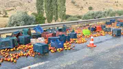 Polatlı-Haymana yolunda şeftali hasadı: Tır devrilince asfalt meyve bahçesine döndü