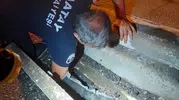 İskenderun'da İtfaiye Ekiplerinden Can Dostlara Umut Dolu Dokunuş