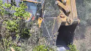 Manavgat'ta alevler zeytinlikleri yuttu: 100 ağaç küle döndü