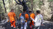 Kozan’ın küllerinden doğuşu: 6 bin hektarlık alanda hummalı yeşillendirme seferberliği
