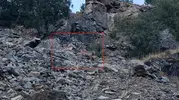 Diyarbakır'ın sarp yamaçlarında sürpriz karşılaşma: Doğanın nadide üyeleri objektiflere takıldı
