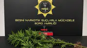 Adıyaman Emniyeti'nden geniş çaplı operasyon: 53 şüpheli kıskıvrak yakalandı