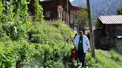 Ayder'in asırlık çınarı için seferberlik: 109 yaşındaki Sabriye teyzenin imdadına sağlık ekipleri yetişti