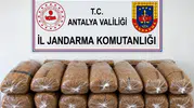 Alanya'da tütün operasyonu: Jandarmadan kaçak ürünlere geçit yok