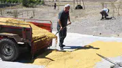 Yozgat'ın köyünde 41 yıllık gelenek: Odun ateşinde yükselen emek