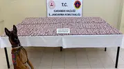 Karaman'da zehir tacirlerine jandarma darbesi: 20 bin hapla yakalandılar