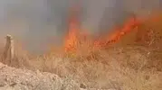 Ereğli'de korku dolu anlar: Birbiri ardına çıkan yangınlar ekipleri alarma geçirdi